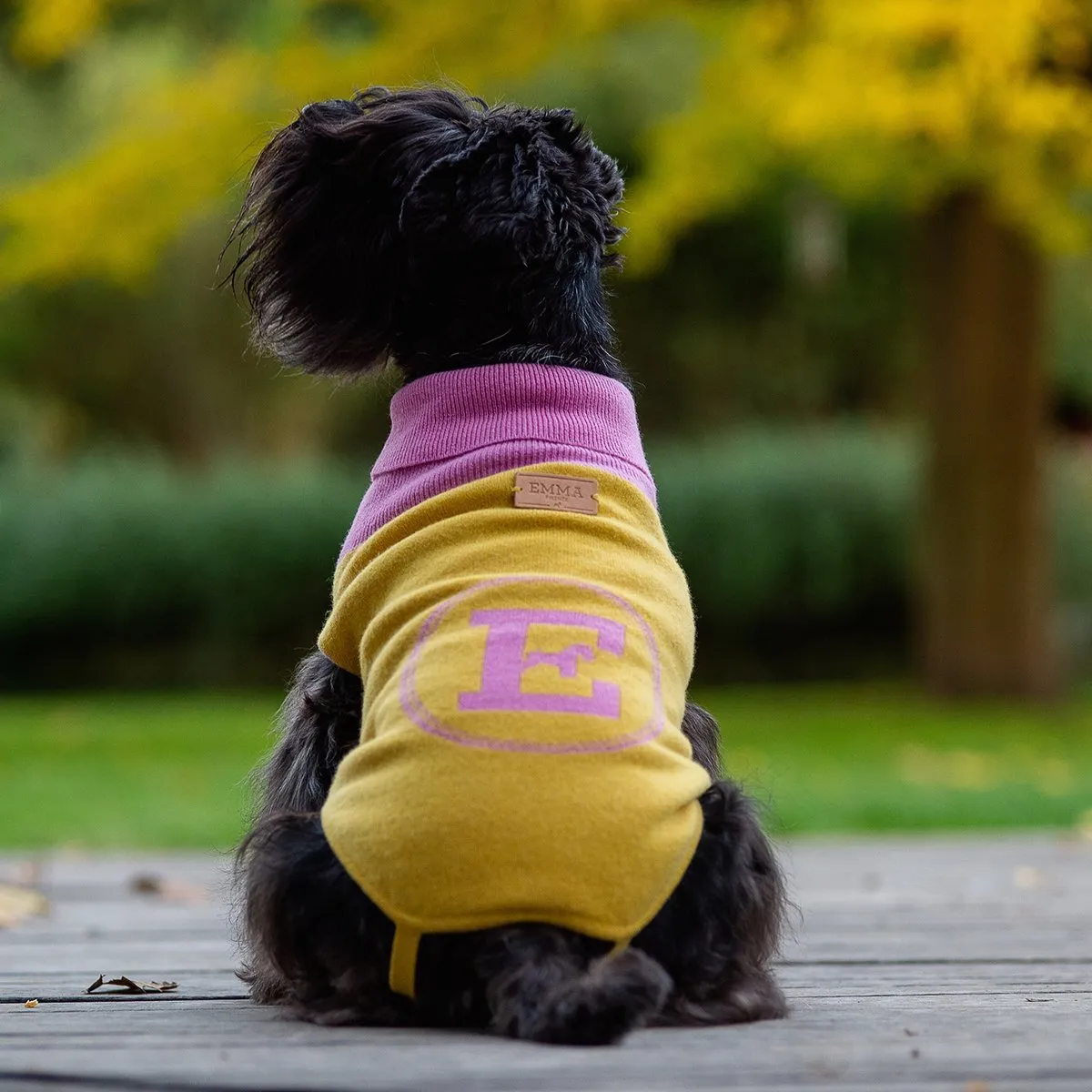 Bespoke Dog Sweater Yellow/Pink Cashmere