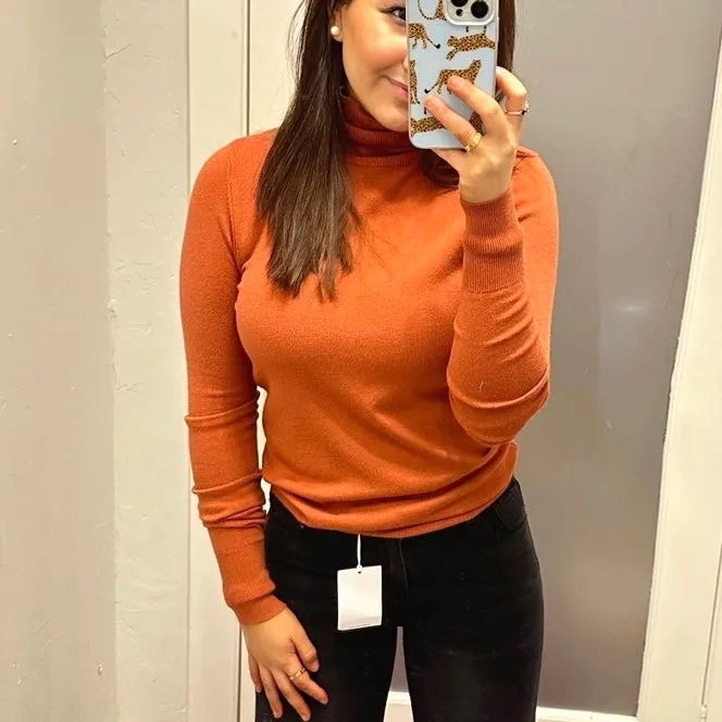 Chic Position Turtleneck Fitted Sweater Top