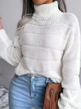 Knit Turtleneck Sweater