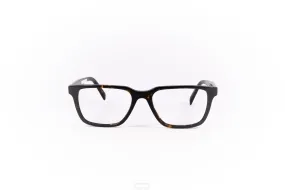 WARBY PARKER Frame Gibert