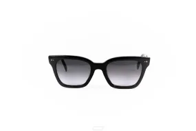 WARBY PARKER Sunglasses Beale